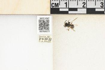 Media type: image;   Entomology 769577 Aspect: Labels